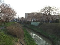 DSCF0217.JPG
