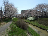 DSCF0222.JPG