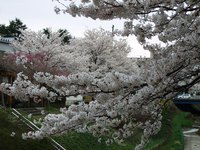 DSCF0392.JPG
