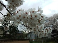 DSCF0395.JPG