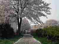 DSCF0702.JPG